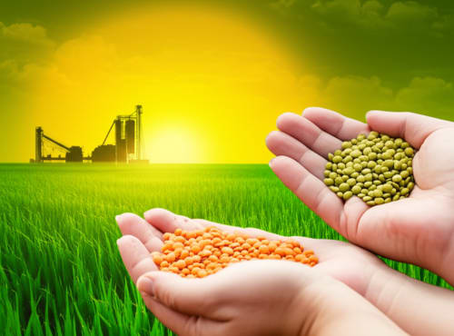 рдЖрдкрдХреА рд░рд╕реЛрдИ рдореЗрдВ рдЕрдм 'рджрд╛рд▓ рдХреНрд░рд╛рдВрддрд┐'! рд╕рд░рдХрд╛рд░ рдХрд╛ рдпреЗ рдирдпрд╛ рдорд┐рд╢рди рдХреИрд╕реЗ рдмрджрд▓реЗрдЧрд╛ рднрд╛рд░рдд рдХрд╛ рднрд╡рд┐рд╖реНрдп?