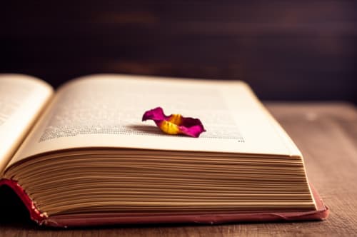 If We Part Ways Now...  Will We Only Meet in Dreams?