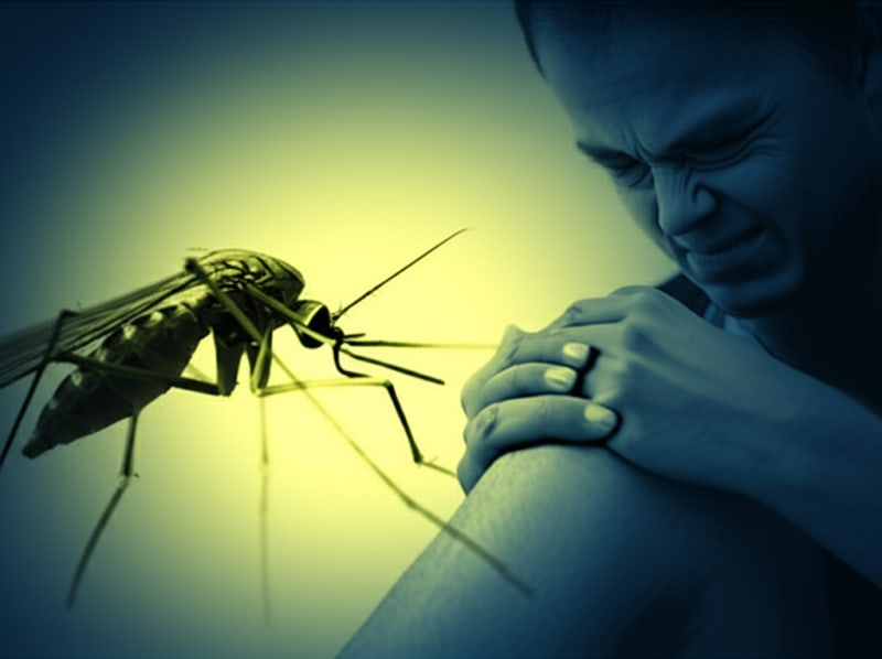 Chikungunya Alert!  This Invisible Threat Is Spreading FAST – Here's How To Stay Safe!