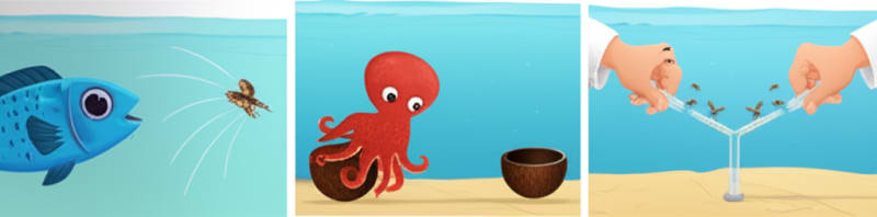 Mind-Bending Truth!  Why Fish Miss Their Prey & Mosquitoes Choose *You*!