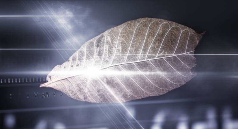 How Do Scientists Know the Age of ANCIENT Discoveries? The Secret Revealed!