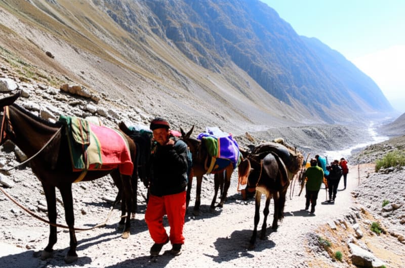 The Dark Truth Behind Your Devotion: Are We Destroying What We Claim to Cherish?