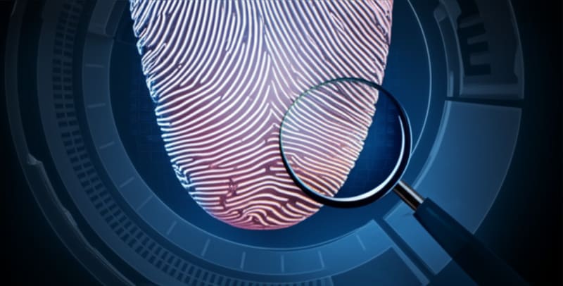 Beyond Fingerprints: Your Body Has *Even More* Unique Secrets!