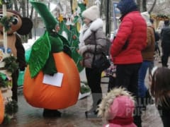 Маленькие калужане и их родители посетили семейный праздник "Мандариновое настроение"