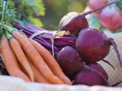 В&nbsp;Калужской области подорожали свекла, морковь и&nbsp;лук