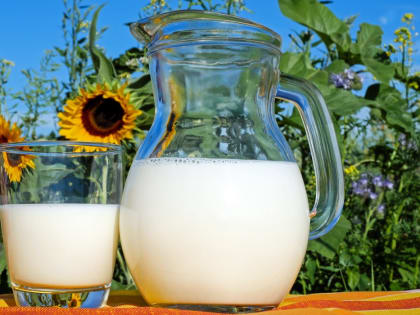 Калужская область засветилась в молочном скандале Красноярского края