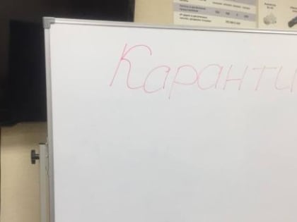 В Калуге 11 классов в 9 школах закрыли на карантин