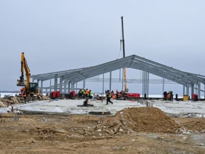 В Хвастовичском районе в 2025 году заработает ферма на 8100 голов скота