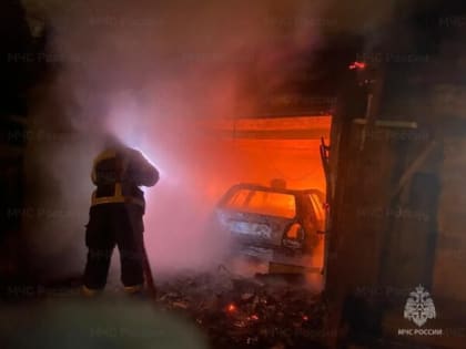За одну ночь в Калужской области потушили пять пожаров