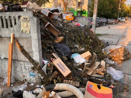 В Калуге у мини-рынка на Малинниках растет мусорная свалка