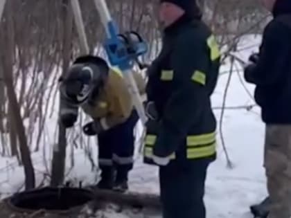 Жители Обнинска могут помочь раскрыть убийство мужчины и женщины в Обнинске