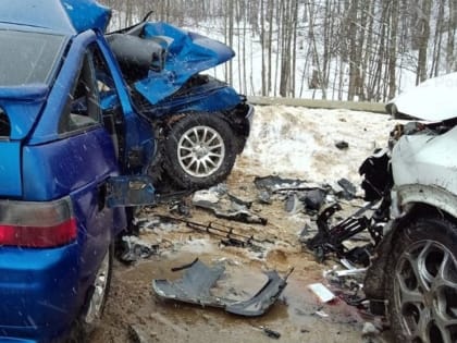 Ребёнок погиб в ДТП в Людиновском районе