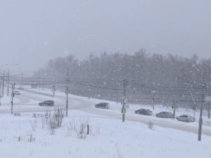 В ночь на 3 января в Калужской области пойдет снег и усилится ветер