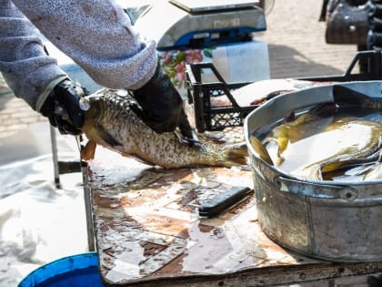 Калужане резко перестали покупать некоторые продукты