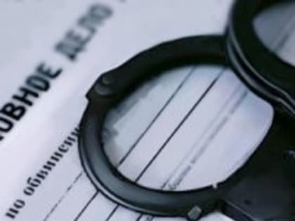 Грабитель пойман и заключён под стражу