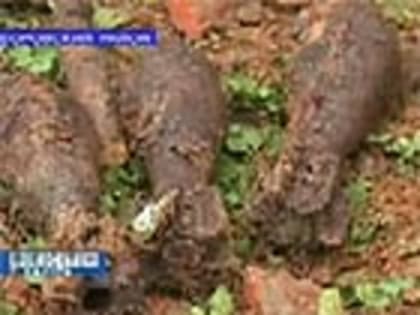 В Калужской области разыскивают пропавшую 62-летнюю женщину