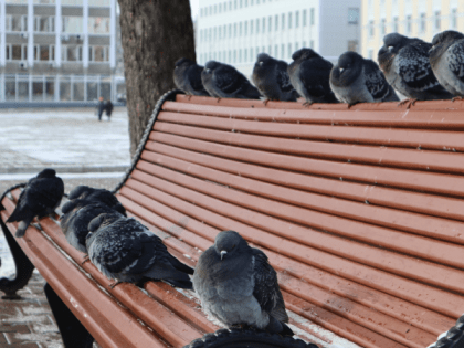 Зима 2023 года в России: прогнозы синоптиков