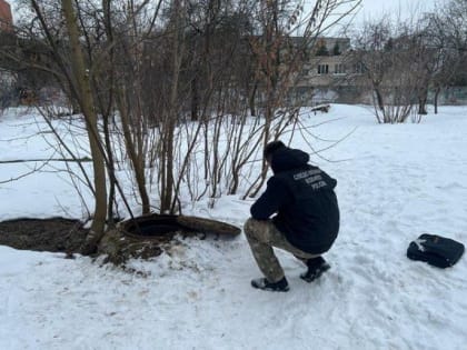 Резонансное убийство с расчленением раскрыто по горячим следам