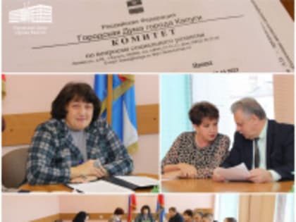 Состоялось заседание комитета по вопросам социального развития