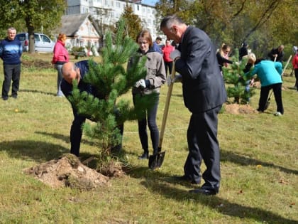 Людиновские единороссы посадили деревья в память о павших за свободу Калужской земли