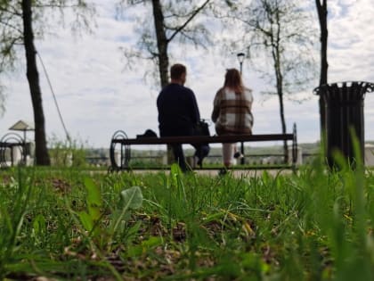 За последнюю неделю сентября клещи в Калужской области искусали 331 человека