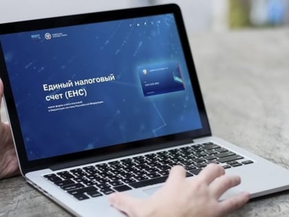 Сальдо ЕНС: структура и порядок формирования