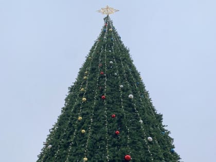 Новый год в Калуге начался с плюсовой температуры