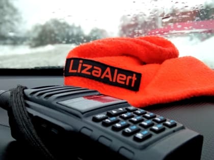 Бессонная ночь в Жиздре: пропавших близнецов нашёл отец