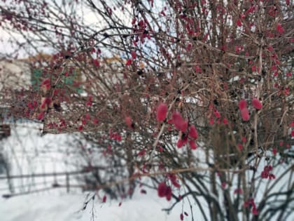 В Калужской области похолодает