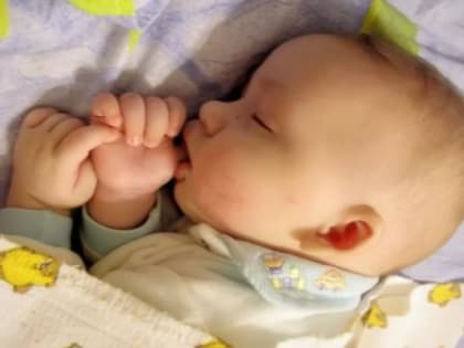 Калужское отделение Социального фонда в первую неделю года перечислило более 10 млн. руб. на выплату единого пособия