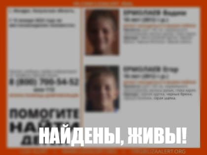 В Жиздре ночные поиски 10-летних близнецов завершились к утру
