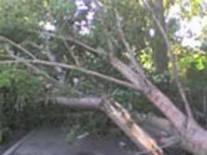 У жительницы Калужской области за долг в 200 тысяч арестовали люксовый автомобиль