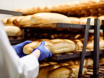 Объемы поставок хлеба в калужские магазины вырастут