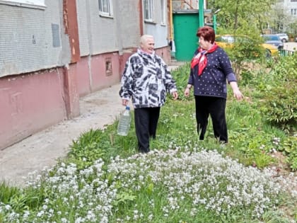 В микрорайоне «Кубяка» подводят итоги конкурса «Содружество в цвету»