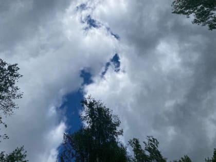 Громкие хлопки в Калужской области оказались полетом военной авиации