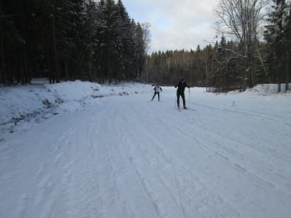 РЯДОМ С ЛЫЖЕРОЛЛЕРНОЙ ТРАССОЙ ПОЛИЦЕЙСКИЕ НАШЛИ НАРКОТИКИ