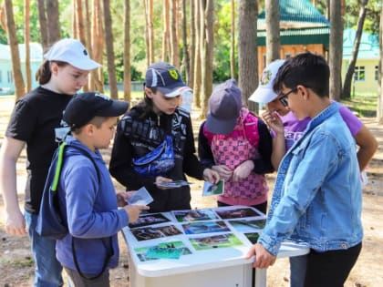 Экологические уроки для детей