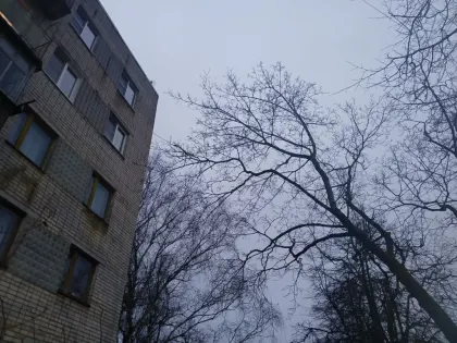 Февраль в Калужской области начнется с дождей