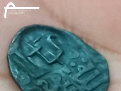 Средневековые монеты археологи обнаружили на раскопках под Ферзиково