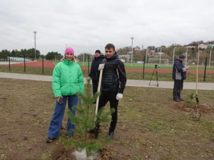 Олимпийцы высадили в сквере Волкова Калуги спортивную аллею
