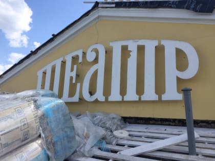 Под крышей калужского драмтеатра больше не будут гадить голуби