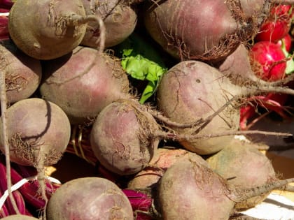 В Калужской области подорожали свекла и капуста