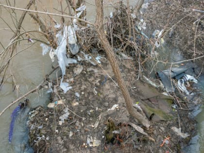 Калужан, кидающих мусор у поворота на Доможирово, поймают в фотоловушку