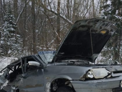 В Калужской области в столкновении ВАЗа и КамАЗа погибла женщина