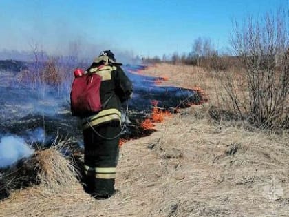 Министерство природных ресурсов и экологии Калужской области призывает граждан отказаться от сжигания сухой травы