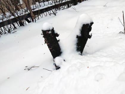 В Калужской области сохранится морозная погода