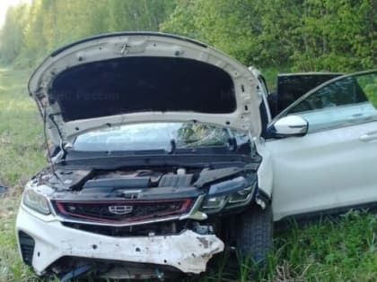 В Калужской области в ДТП с иномаркой пострадали 4 человека
