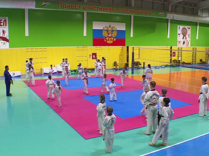 Калужские спортсмены завоевали 18 медалей на турнире по тхэквондо