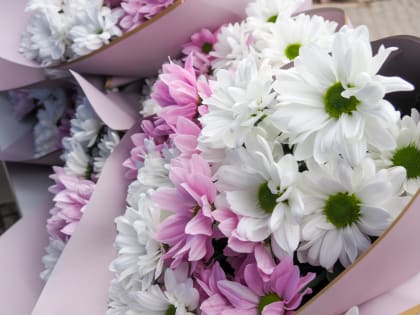 В Калуге открыли обновлённую доску почёта "ДЕЛА И ЛЮДИ"