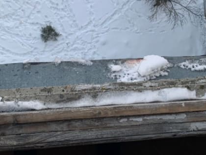 Двоим братьям из Обнинска вынесли приговор за убийство инвалида